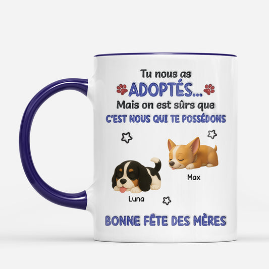 cho_fr2_bd9a3d7e 8f1b 4f3f 8518 6ea13cbed1bc