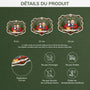 cho_fr3