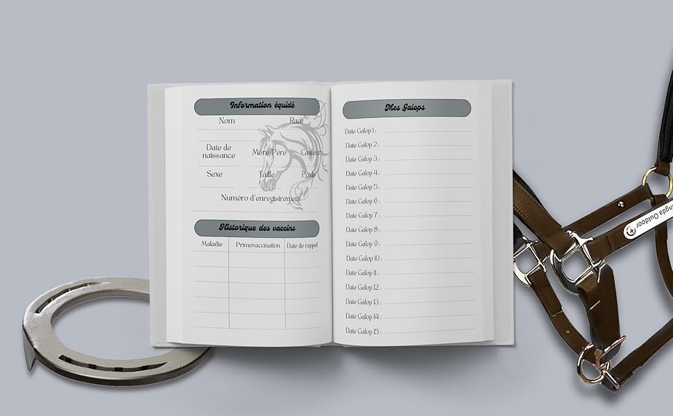 Carnet d’entraînement d’équitation
