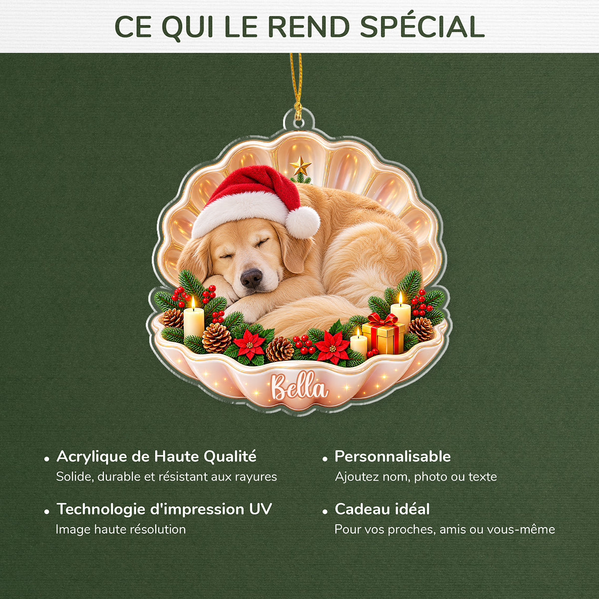 fr5_0d907d9f 1d45 4503 a6ed de5a890e0555