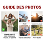 guidelineFR_f1fceae5 72c8 49b5 91a6 b61074c18b54