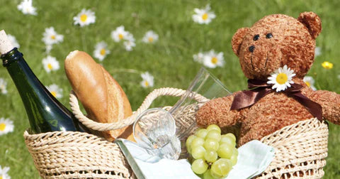 Un pique-nique en plein aire avec la famille