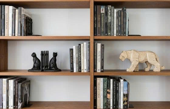 Une bibliothèque agrémentée de touches félines