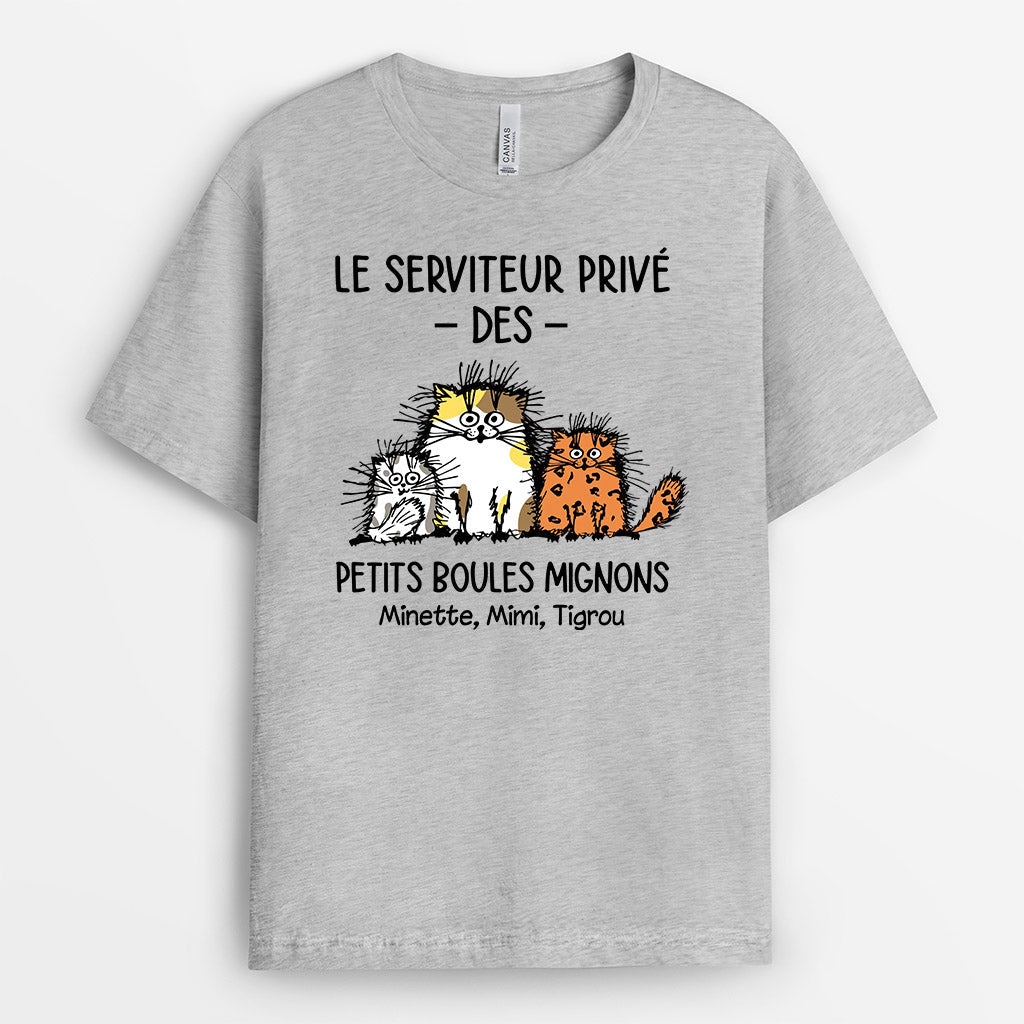 0307A250DFR1 cadeau Personnalise T shirt chats personnes_54939737 1d85 46f9 a642 b715b4b2488c