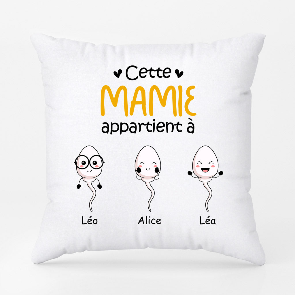 0885PFR2 Cadeau Personnalise Coussin Mamie Maman