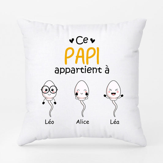 0885PFR2 Cadeau Personnalise Coussin Papy Papa